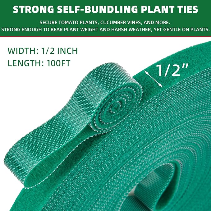 100 ft x 1/2 inch Reusable Plant Ties Roll for Indoor & Outdoor Plants, Non-Toxic Soft Garden Ties, Cut-to-Length Nylon Ties, Gentle Support for Climbing Plants, Tomato Peppers & Vines, Green