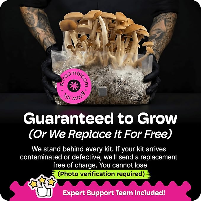 Mushroom Grow Kit – All-in-One 2LB Grow Bag with Self-Healing Port – Fast-Colonizing Universal Substrate for Any Mushroom – Multi-Flush High-Yield – USA Made (Just Add Your Own Culture)