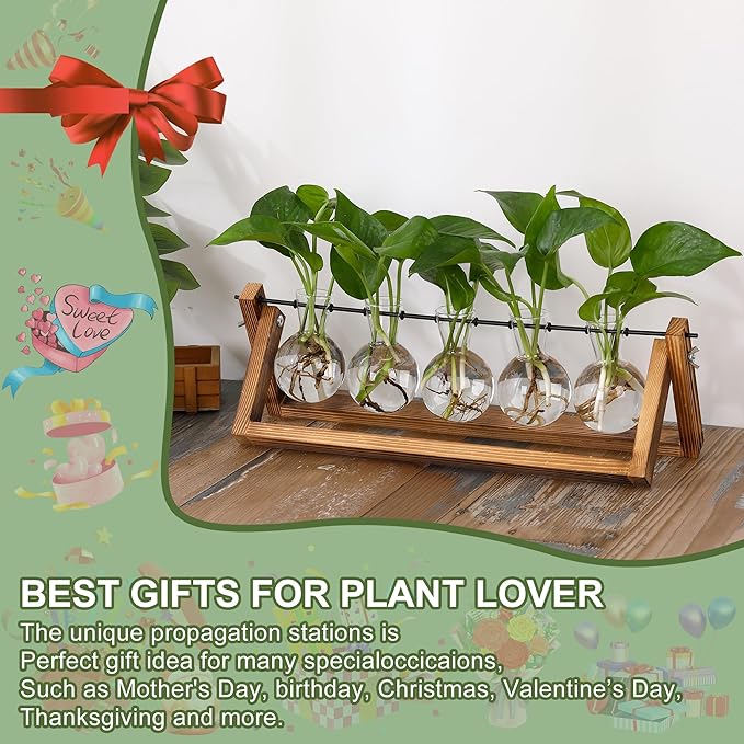 YIBOT Plant Propagation Stations with Wooden Stand & 5 Glass Bulb Vases | Tabletop Plant Terrarium for Propagating Hydroponic, Retro Glass Planter Flower Vase Home Kitchen Office Decor Gifts