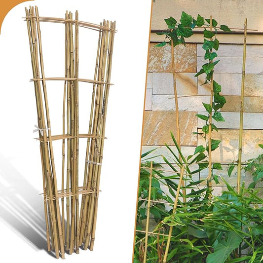 10 Pack 4ft Bamboo Trellis for Climbing Plants - Fan-Shaped Support Trellis for Potted Plant Decor in Door
