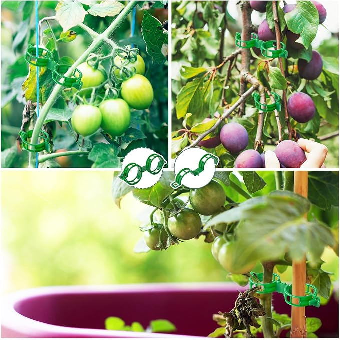 200 PCS Plant Support Clips Reusable Garden Clips, Secured Plastic Plant Clips, Tomato Support Clips for String Trellis for Climbing, Plants Flowers Stem Vine Fixing Clips (200, GREEN)