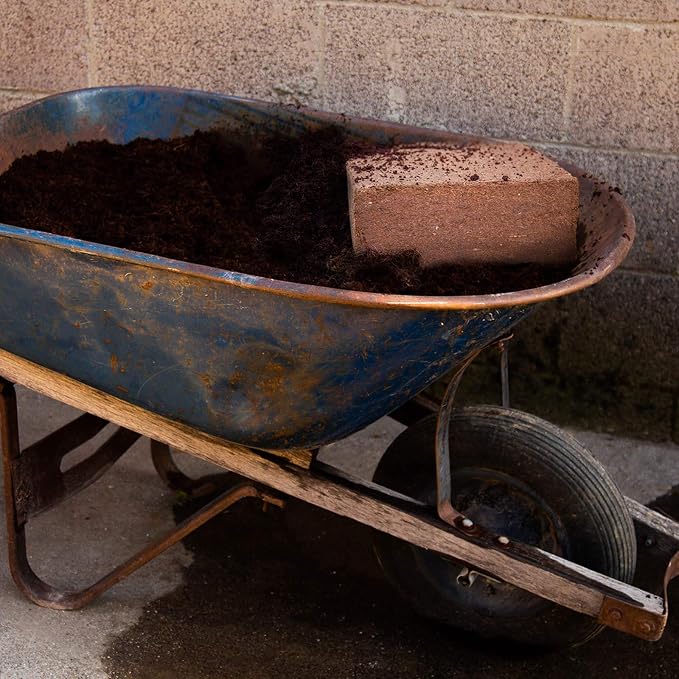 Minute Soil Block - Coco Coir - Compressed - Blocks & Bulk (1 Block)