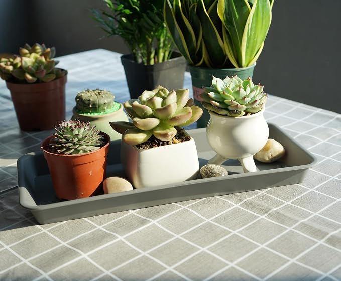 VUWEZ 2 Pack of Plastic Plant Tray Saucer Rectangular 17 18 inch, Plant Trays Saucers for Indoors Outdoor, Plant Water Drip Tray for Flower Pot Planter, Windowsill Plant Tray (7.8 X 17.5'', Gray)