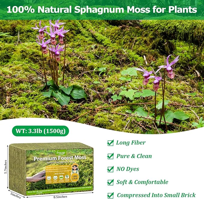 Legigo 3.3LBS Sphagnum Moss for Plants, 60QT Natural Orchid Moss Potting Mix Dried, Green Forest Plant Moss for Orchid Repotting Carnivorous Succulents Indoor Potted Plants Gardening and Reptiles