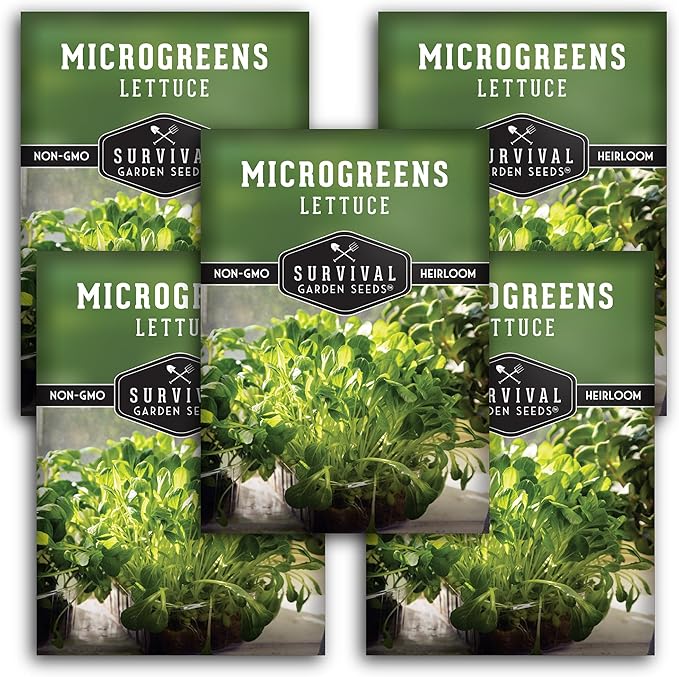 Lettuce Microgreen Seeds for Planting - Non-GMO Heirloom Lettuce Seeds to Grow Crisp, Tender Microgreens - Indoors or Hydroponic - Fast Germination, Mild Flavor - Survival Garden Seeds (5 Packs)