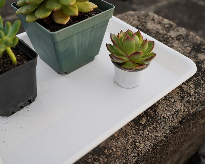 VUWEZ 4 Pack Plant Saucer Tray Rectangular, Plant Saucers for Indoors, Heavy Sturdy Plastic Plant Drainage Trays, Plant Drip Trays for Pots, Seed Starter Growing Tray (11 x 9, Creamy White)