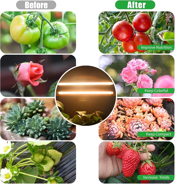 Two Strip Growing Lamp 2-Pack for Indoor Plants, 3500K Full Spectrum LED Grow Light Strips with Auto ON/Off 3/9/12H Timer & 10 Dimmable Levels for Green House Succulent (2 Head×2 Pack)