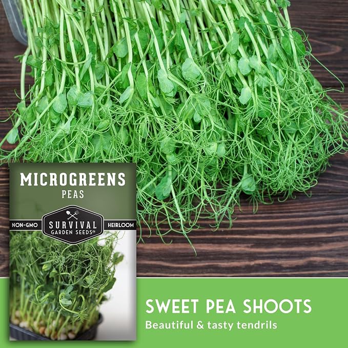 Pea Microgreens Seeds for Sprouting and Growing Indoors – Sweet, Tender Shoots for Windowsill or Countertop Gardens – Grow Your Own Mini Greens – Non-GMO Heirloom – Survival Garden Seeds (2 Pack)