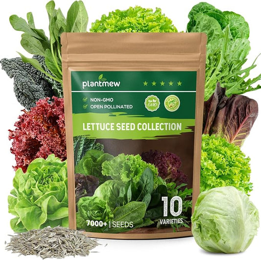 Heirloom Lettuce Seeds - 10 Varieties Lettuce Seeds for Planting - Includes Spinach, Kale, Arugula, Romaine, Iceberg, Buttercrunch & More, Home Garden & Hydroponic Seeds