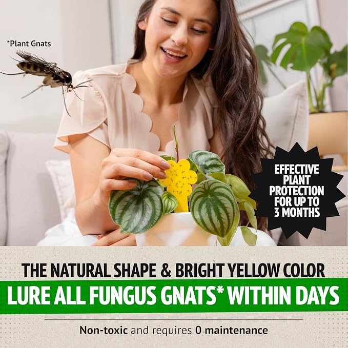 Super Ninja Fungus Gnat Traps - 60 Pack, Highly Effective Gnat Traps for House Indoor, Yellow Sticky Trap for Plants, Non-Toxic & Nature-Friendly, Up to 3 Months