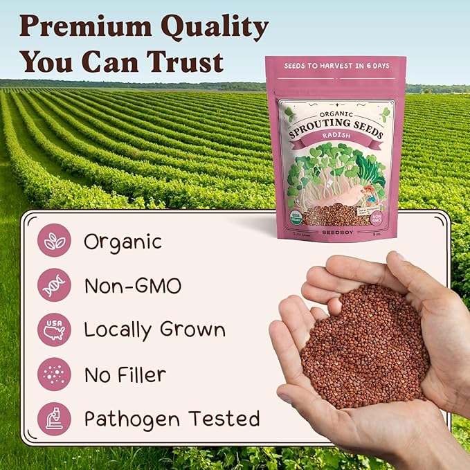 Seedboy Organic Non-GMO Radish Seeds for Sprouting - USA Grown Microgreens Sprouting Seeds - 8 oz Bag Makes 8 Quarts / 32 Servings (Daikon Radish)