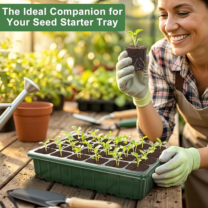 Upgrade Grow Sponges with Tray, 24 Pack Seed Starter Pods & Starter Plugs for Cuttings, Hydroponic Grow Sponges for Seed Starting, Plant Plugs for Herbs Vegetables Flowers, Easy Transplant Rooter Pods