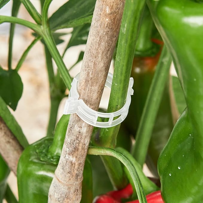 100 Pcs Plant Support Clips,Plastic Clips for Securing Plants,Tomato Vine Clips,Plant Fixing Clips,Garden Clips for Climbing Plants,Grape,Vine Vegetables (100, White)