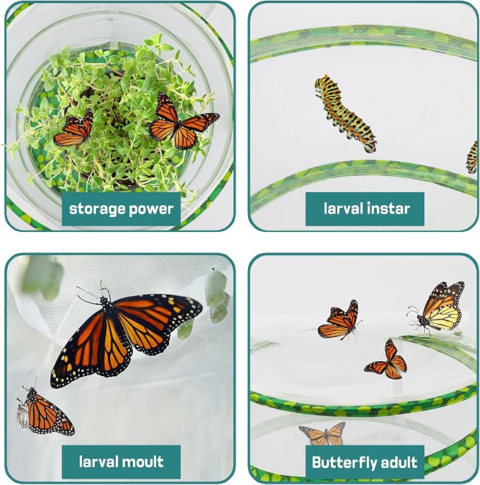 Butterfly Habitat Mesh Cage，12" x 14" Tall Pop-up Breathable Insect Bug Net Cage