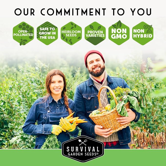 Leafy Greens Seeds Variety Pack – 5 Heirlooms: Viroflay Spinach, Arugula, Lacinato Kale, Salad Bowl Lettuce & Rainbow Swiss Chard – Cool Season Garden Collection - Survival Garden Seeds