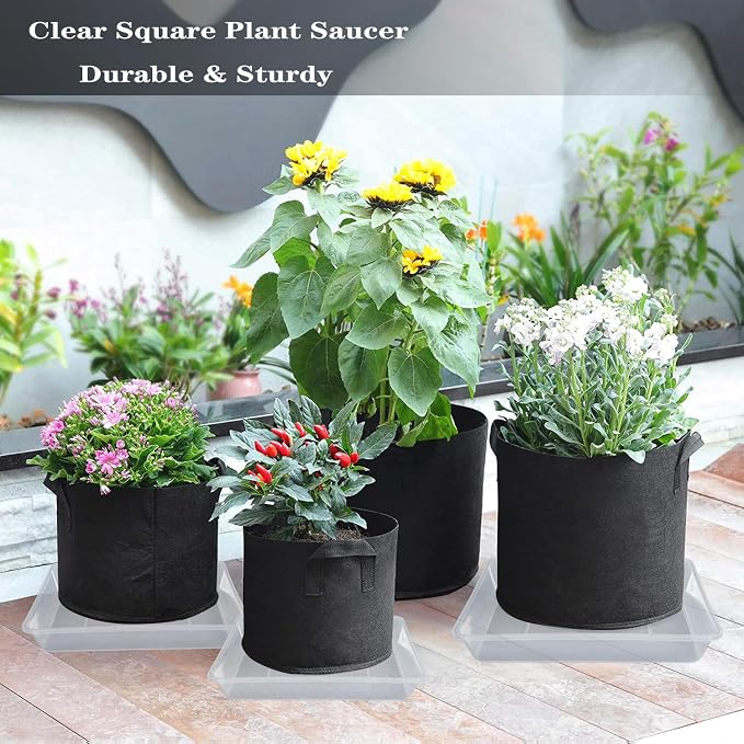 LWALRS Square Plant Saucer 10 Inch 5 Pack, Sturdy Clear Plastic Flower Plant Pot Saucer, Square Planters for Indoors and Outdoors Plants, Garden Plant Saucers for Pots Plant Trays.