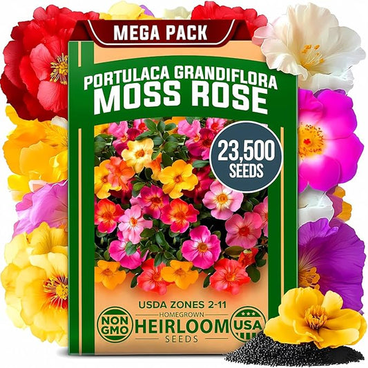 HOME GROWN 23,500+ Moss Rose Seeds (Bulk Pack) Annual Flower for Ground Cover - Heirloom Portulaca Seeds for Planting Outdoors - Great for Low-Maintenance Gardens (Portulaca grandiflora)