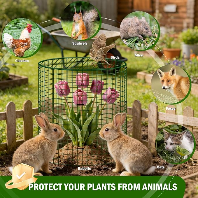 6 Pack Plant Protectors from Animals with Cover, 12" x 12" Round Metal Wire Garden Plant Cages to Keep Animals Out, Rabbit Proof Protection for Vegetables & Flowers with Stakes, Zip Ties & Gloves