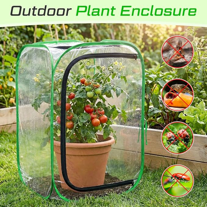 2 Pack Pop up Plant Greenhouse Cover Foldable Mini Clear Greenhouse 15.7" x 15.7" x 23.6" PVC Small Portable Plants Cover Accelerator for Indoor Outdoor Vegetable Fruit Garden Protecting