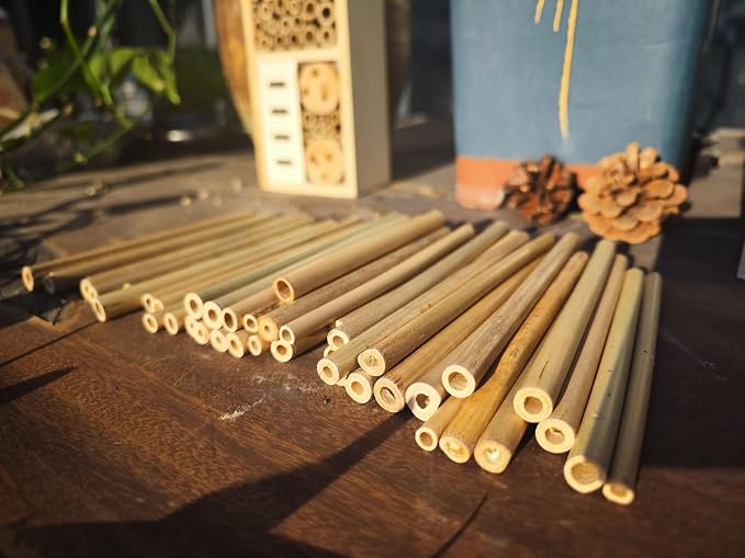 INature Solitary Bee Bamboo Tubes - 4" Length, Pack of 100, Perfect for Mason Bee Houses and Garden Pollination Kits