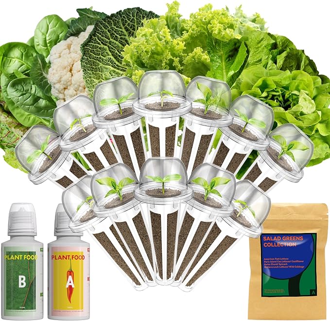 Lyko Heirloom Salad Greens Seed Pod Kit for AeroGarden, iDoo, Ahopegarden, GARDENCUBE, 12 Pods with American Fast/Paris Island/Buttercrunch Lettuce, Spinach, Swiss Chard, Cauliflower, Wild Cabbage