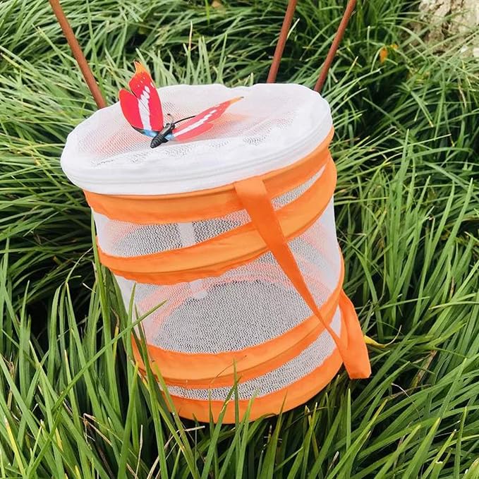 Insect Lore Butterfly Garden Habitat Foldable Washable and Reusable Butterfly Cage 6.3" x 7.9" Tall(Orange, Small)
