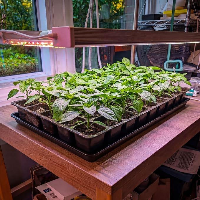Feekoon 4 Pack Extra Large Plant Saucer Growing Tray - 34" x 22"Seed Starting Trays - Each Fits 3×1020 Trays (Holds 12 Total), Thick Reusable Flats with 100 PVC Plant Labels, Bottom Watering