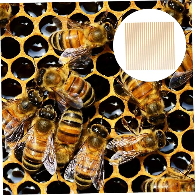 VANZACK 300pcs Bee Craft Supplies Straw Bee House Tubes Easy Install Outdoor Beekeeping Nesting Tubes