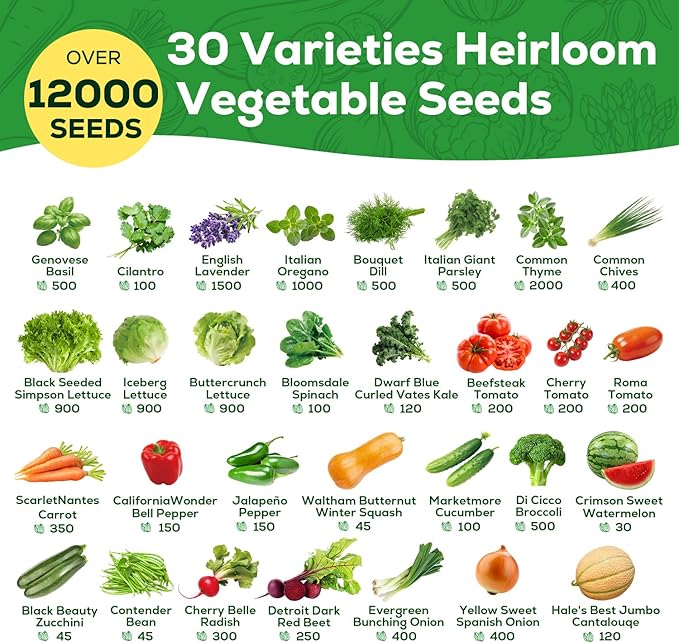 30 Heirloom Vegetable Seeds for Planting, 12,000+ Garden Seeds - Vegetable, Herb, Fruit Seeds - Survival Seed Vault with Tomato, Basil, Lettuce, Bean, Pepper, Squash and More