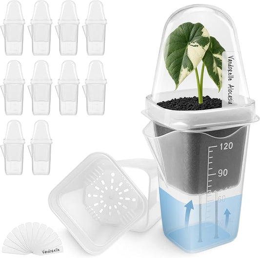 12 Pack 2" Small Clear Self Watering Pots with Humidity Dome for Indoor Plants, Seed Starter Cups, Tissue Culture Acclimation Kit,Alocasia Corm Propagation,African Violet,Cuttings,Seedlings