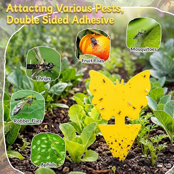 400 Pcs Fruit Fly Sticky Traps Yellow Fungus Gnat Sticky Traps Indoor Plant Fly Stickers Butterfly Sunflower Bug Stickers for Houseplants Kitchen Indoor Outdoor Garden Insect Catcher