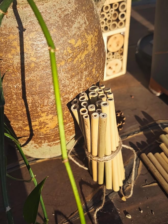INature Bamboo Craft Tubes - 100 Count, 5" Eco-Friendly Sticks for DIY Bee Hotels, Solitary Bee Hives, and Pollinator Gardens