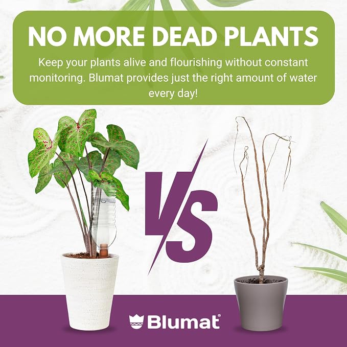 Blumat Plant Watering Devices - Easy Self Watering Planter Insert for Indoor Plants - Bottle Adapter - Prevents Overwatering and Underwatering for Healthy Growth - 1 Pack