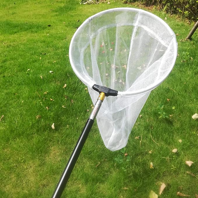 Insect and Butterfly Net with 12" Ring, Net Handle Extends to 59 Inches for Adults & Kids