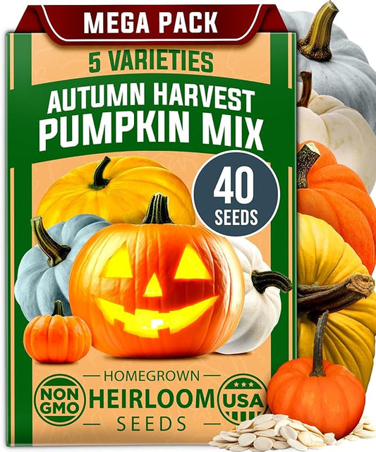 HOME GROWN Pumpkin Seeds 5 Variety Mix 40+ Heirloom Non-GMO, High Germination, Connecticut Field, Blue, White & Mini Pumpkins,Edible & Jack O Lanterns,Autumn Harvest,Ornamental Garden (Cucurbita pepo)
