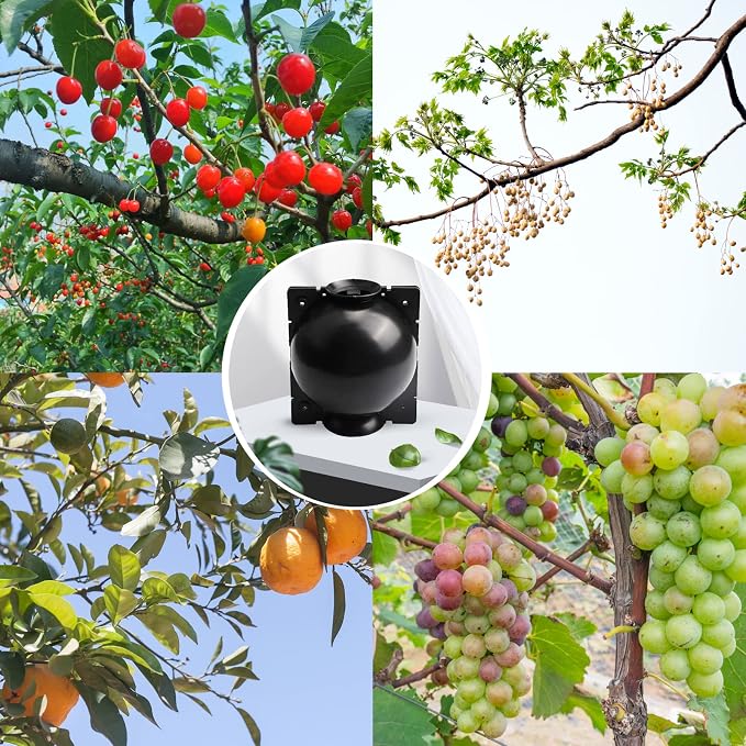 Tree Root Growing Box, Reusable Transparent Plants Asexual Reproduction Grafting Ball, High Pressure Air Layering Pods Propagation Kit (10pcs Meidum)