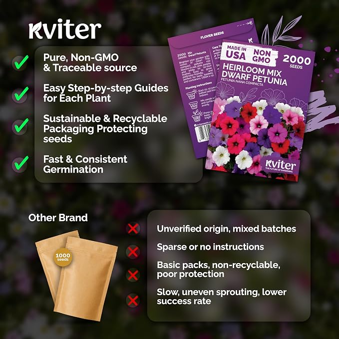 KVITER 2,000 Mix Dwarf Petunia Seeds for Planting Flowers (Nana Compacta) — Mini Petunia Flower Seeds, Annual, Non GMO — Beds, Hanging Baskets, Containers, Outdoor & Indoor Garden