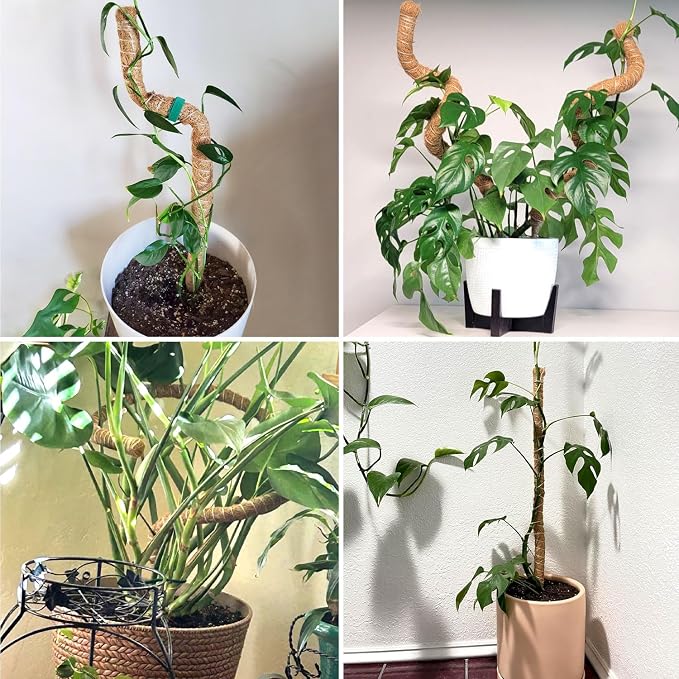 Moss Pole 28 Inch, 4 Pack Monstera Plant Support, Bendable Coco Coir Pole - Plant Stakes for Indoor Plants, Moss Poles for Climbing Plants, with Gardening Accessories (Plant Ties etc)