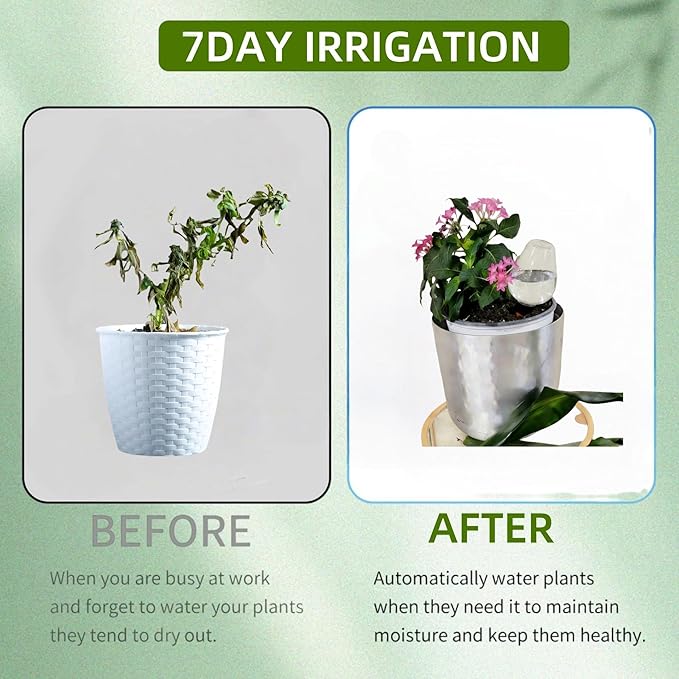 Self Watering Globes with Slow Release & Top Fill, 12.3 oz Automatic Watering Bulbs for Indoor & Outdoor Plants - Keep Plants Alive While on Vacation (Clear-4 Pack)