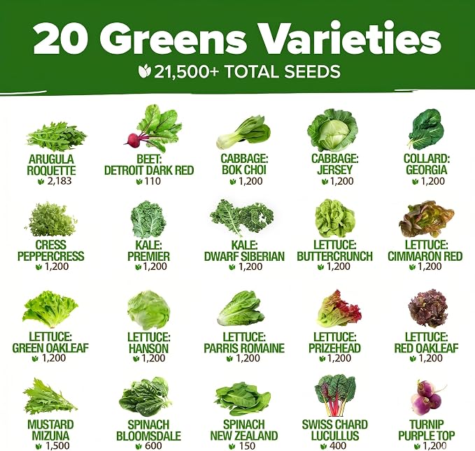OME Grown 20 Variety Lettuce Seeds 21,500+ Bulk Pack Heirloom Non-GMO, High Germination, Romaine,Butterhead, Spinach, Kale, Iceberg, Continuous Harvest,Indoor Outdoor Hydroponic Garden