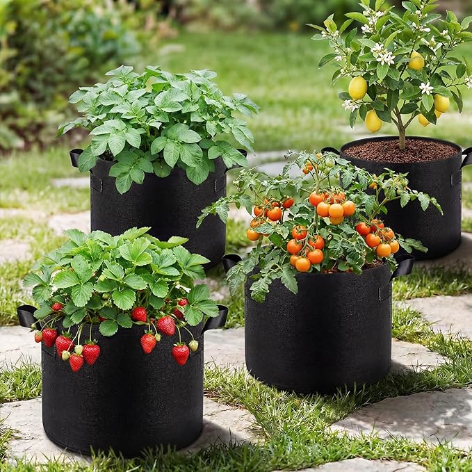 Songrey 10-Pack 5 Gallon Grow Bags, Thickened Nonwoven Fabric Pots with Handles, Heavy Duty Garden Planter for Tomato, Vegetables and Flower
