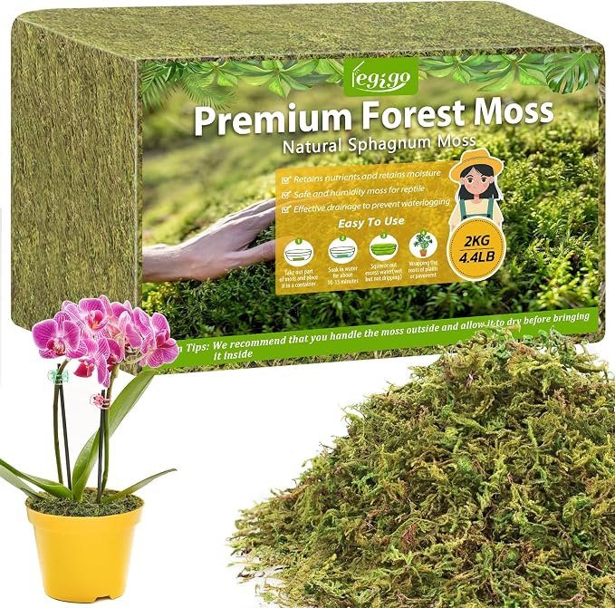 Legigo 4.4LBS Sphagnum Moss for Plants, 80QT Natural Orchid Moss Potting Mix Dried, Green Forest Plant Moss for Orchid Repotting Carnivorous Succulents Indoor Potted Plants Gardening and Reptiles