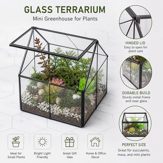 Ferrisland Glass Plant Terrarium Container Wardian Case Indoor Small Succulent Terrarium Planter w/Door for Tabletop Decor DIY - 4.9"x4.3"x4.3"
