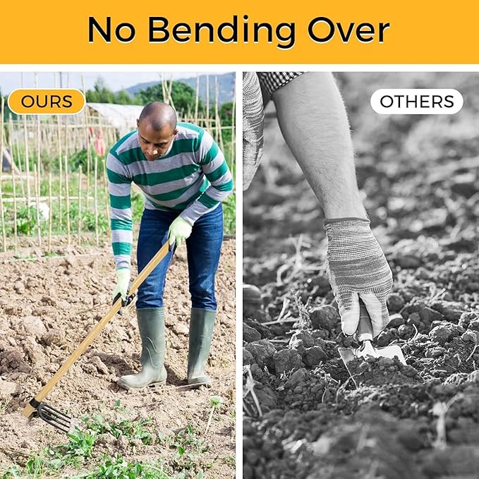Heavy Duty Forged Eye Hoe Fork for Garden - 4 Tines Digging Spading Fork, Forged High-Carbon Steel (Corrosion-Resistant), Effortless Tool for Digging, Harvesting Tubers, Weeding