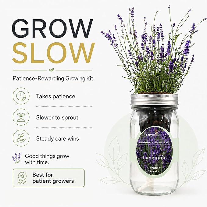 Hydroponic Herb Growing Kit, Self-Watering Mason Jar Herb Garden Starter Kit Indoor, Windowsill Herbs Garden, Grow Your Own Herbs from Organic Seeds (Lavender)