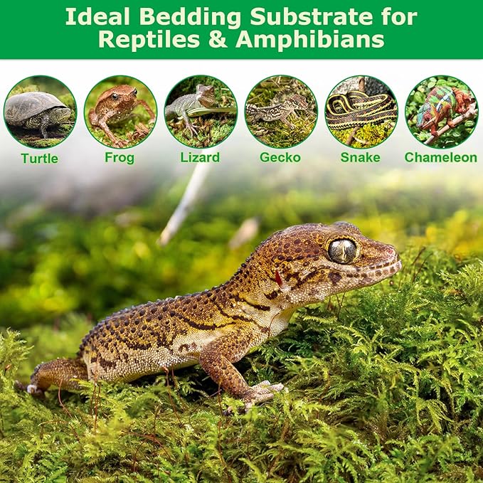 Legigo 3.3LBS Sphagnum Moss for Plants, 60QT Natural Orchid Moss Potting Mix Dried, Green Forest Plant Moss for Orchid Repotting Carnivorous Succulents Indoor Potted Plants Gardening and Reptiles