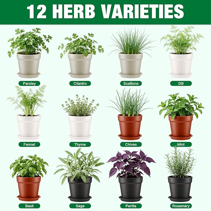 12 Herb Garden Kit Indoor, Complete Kitchen Window Herbs Seeds Growing Starter Set Kit Gardening Gift Birthday Housewarming Christmas Gift for Women Her Mom Men Home Chefs Gardener Beginner