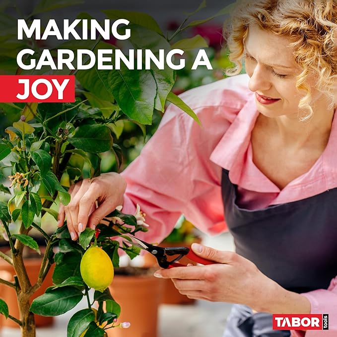 TABOR TOOLS K7A Straight Pruning Shears with Carbon Steel Blades, Florist Scissors, Multi-Tasking Garden Snips for Arranging Flowers, Trimming Plants and Harvesting Herbs, Fruits or Vegetables.