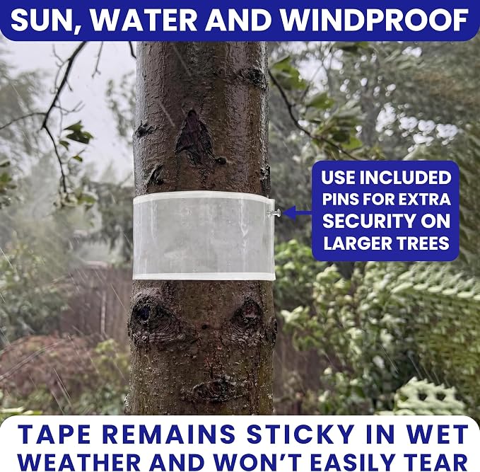 Spotted Lantern Fly Trap for Trees. 3 Sticky Fly Paper Rolls with Pins and Egg Scraper. Bug Tree Tape Wrap Ant Barrier Spotted Lanternfly Killer. Lantern Flies Tape for Trees Glue Insect Barrier