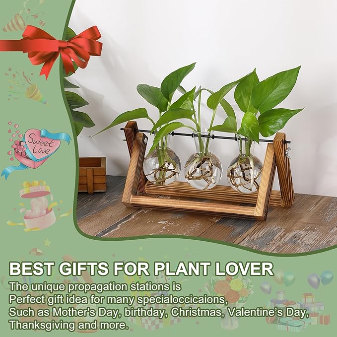 YIBOT Plant Propagation Stations with Wooden Stand & 3 Glass Bulb Vases | Plant Terrarium for Indoor Plants, Home Office Desk Decor, Gardening Gifts for Women Mom, Birthday Gifts for Plants Lovers